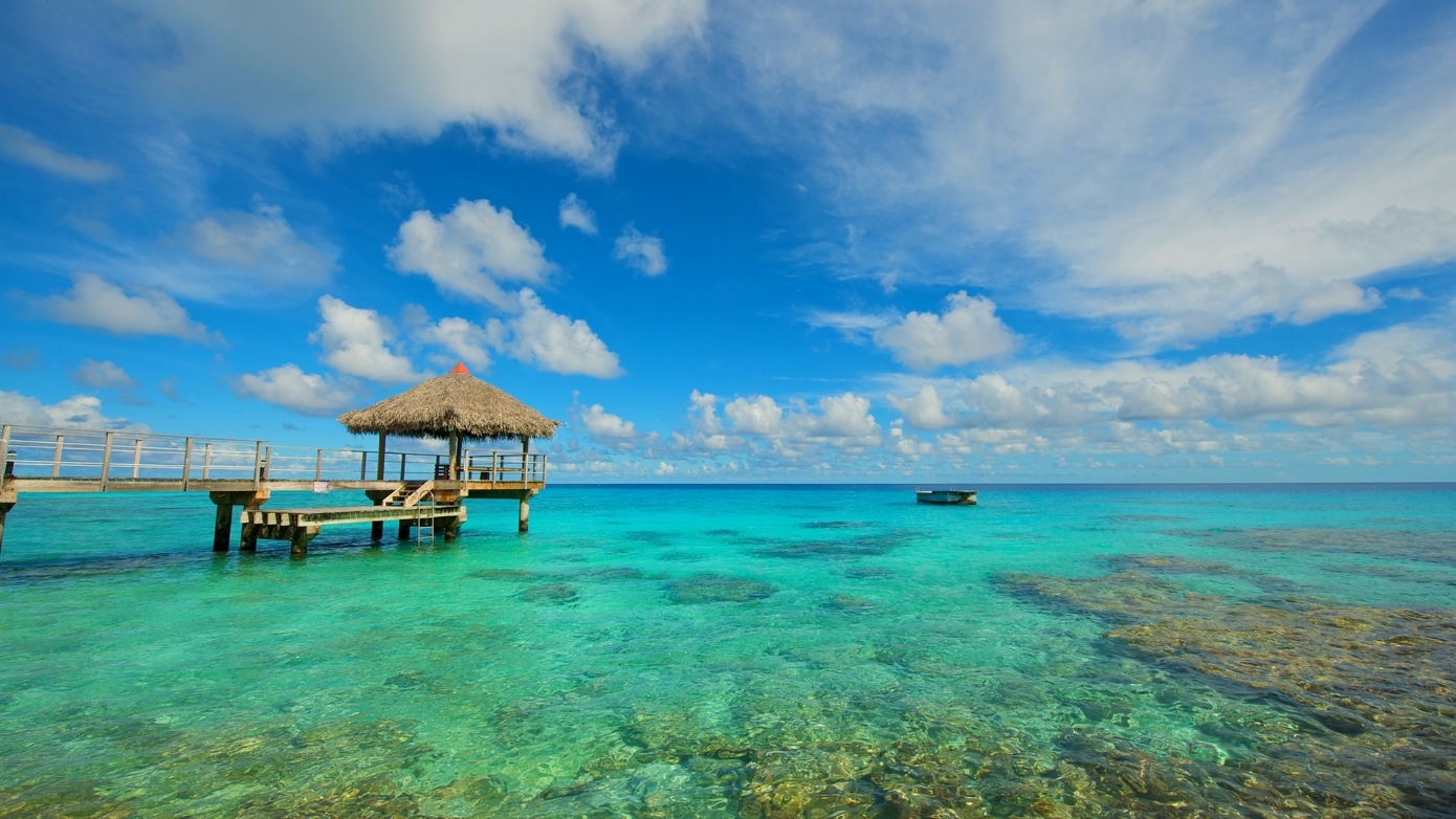 여름 좋아하시는 분 모이세요 | 인스티즈