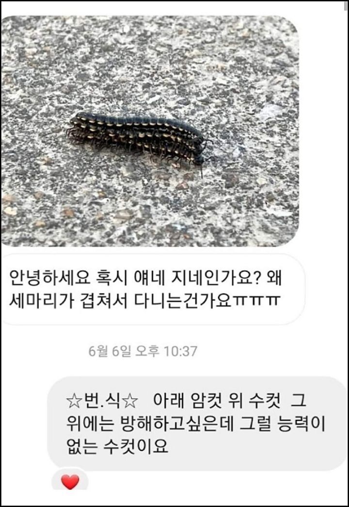 모르는게 없는 유튜버ㅋㅋㅋㅋㅋㅋ.jpg | 인스티즈