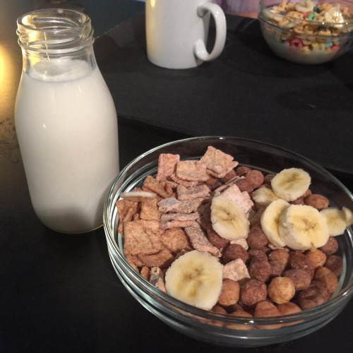 가보고 싶은 씨리얼 카페 | 인스티즈