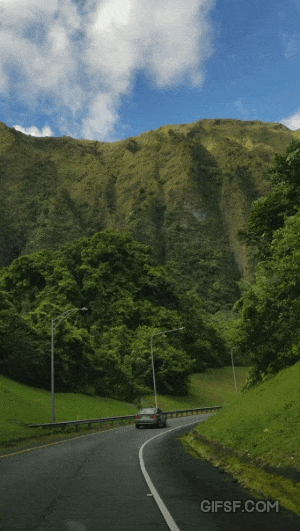 흔한 하와이의 자연경관 | 인스티즈