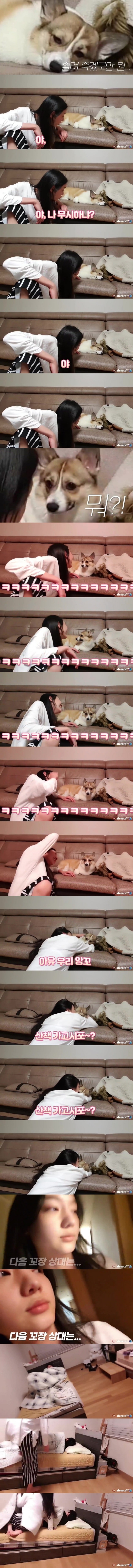아부지 한테 주사 부리는 개딸 ㅋㅋㅋㅋㅋ.jpg | 인스티즈
