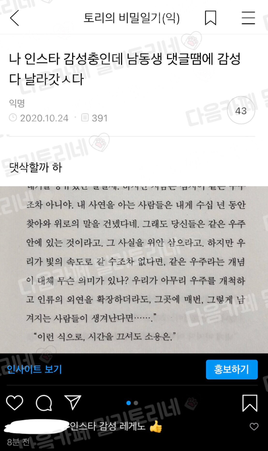 나 인스타 감성충인데 남동생 댓글땜에 감성 다 날라갓ㅅ다.jpg | 인스티즈