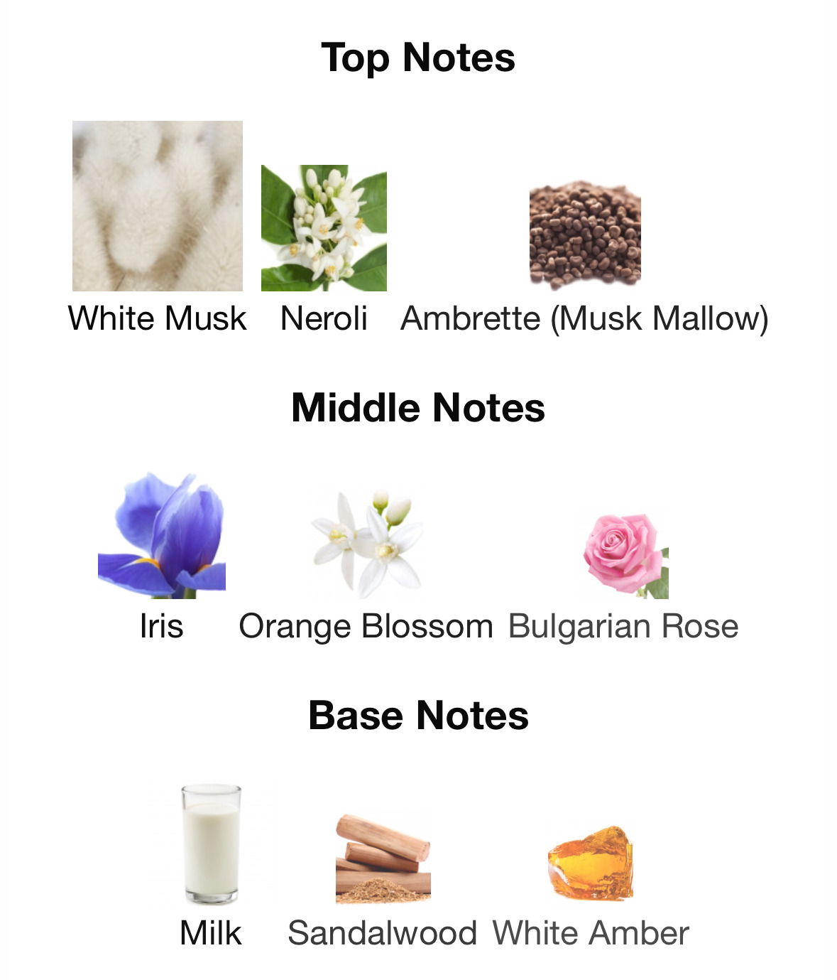 가을겨울에 쓰기 좋은 머스크 노트 향수들.jpg | 인스티즈