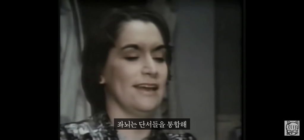 (스압)분리 뇌 실험 | 인스티즈