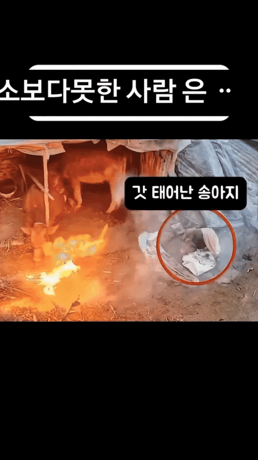 어제 자 눈치없다고 욕 뒤지게 먹은 사람...jpg | 인스티즈