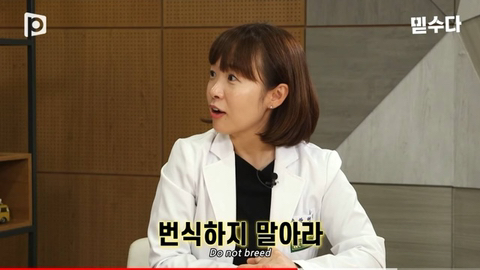 국내 소형견이 유독 슬개골 탈구가 많은 이유 | 인스티즈