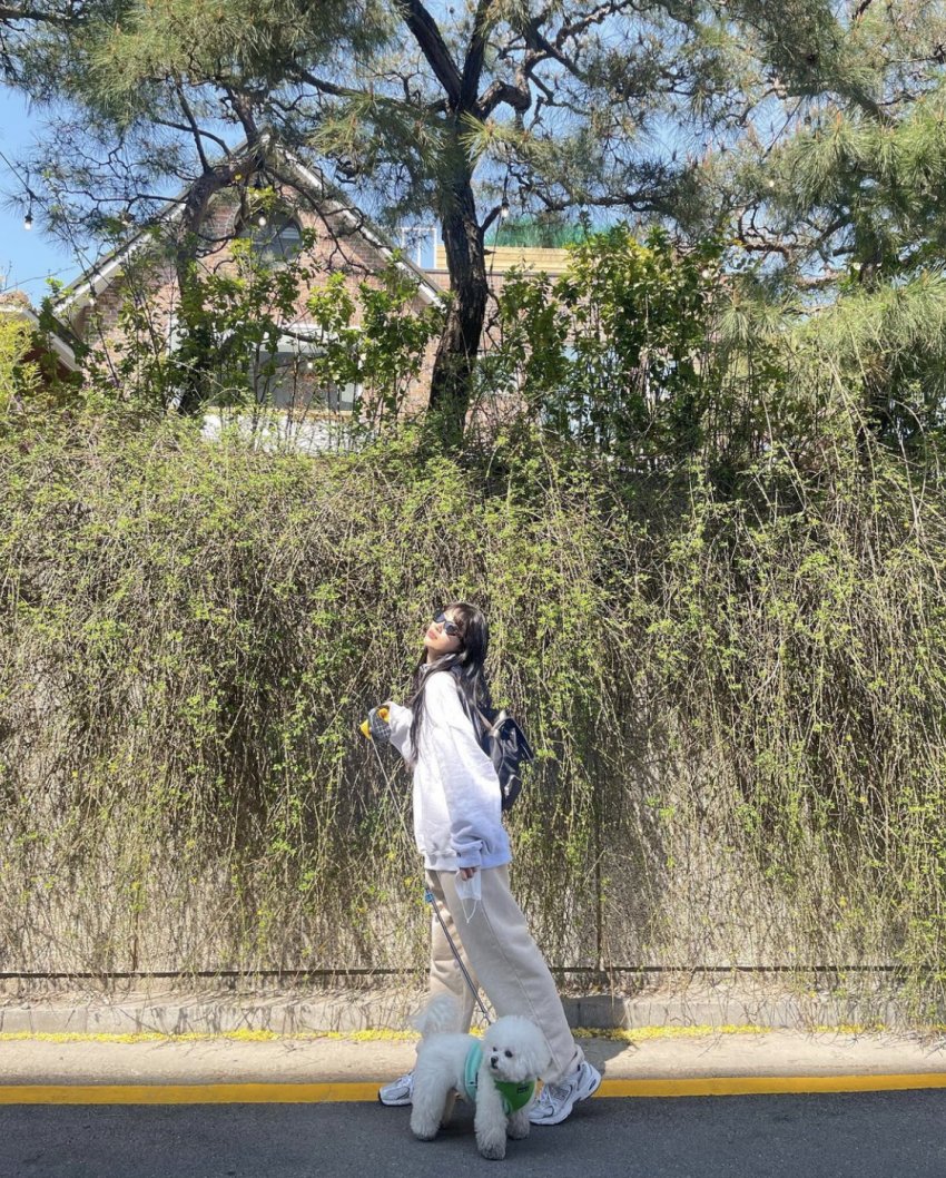 오늘자 수지 인스타그램.jpg | 인스티즈