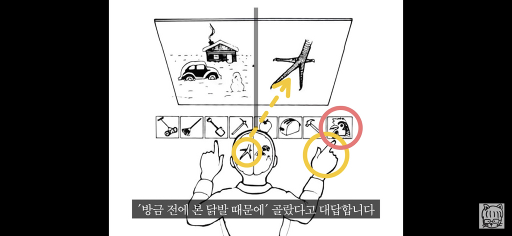 (스압)분리 뇌 실험 | 인스티즈