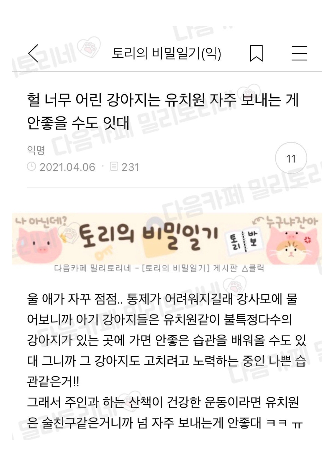 강아지에게도 나이가 중요한 이유 | 인스티즈