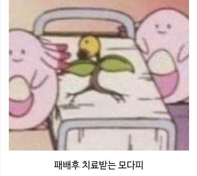 포켓몬 보다가 발견한 작붕ㅋㅋㅋㅋ.jpg | 인스티즈