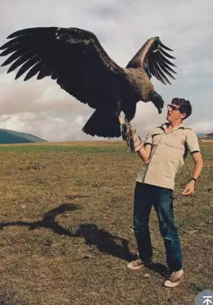 전방부대 군필들은 잘 알고 있는 독수리의 크기 체감 | 인스티즈