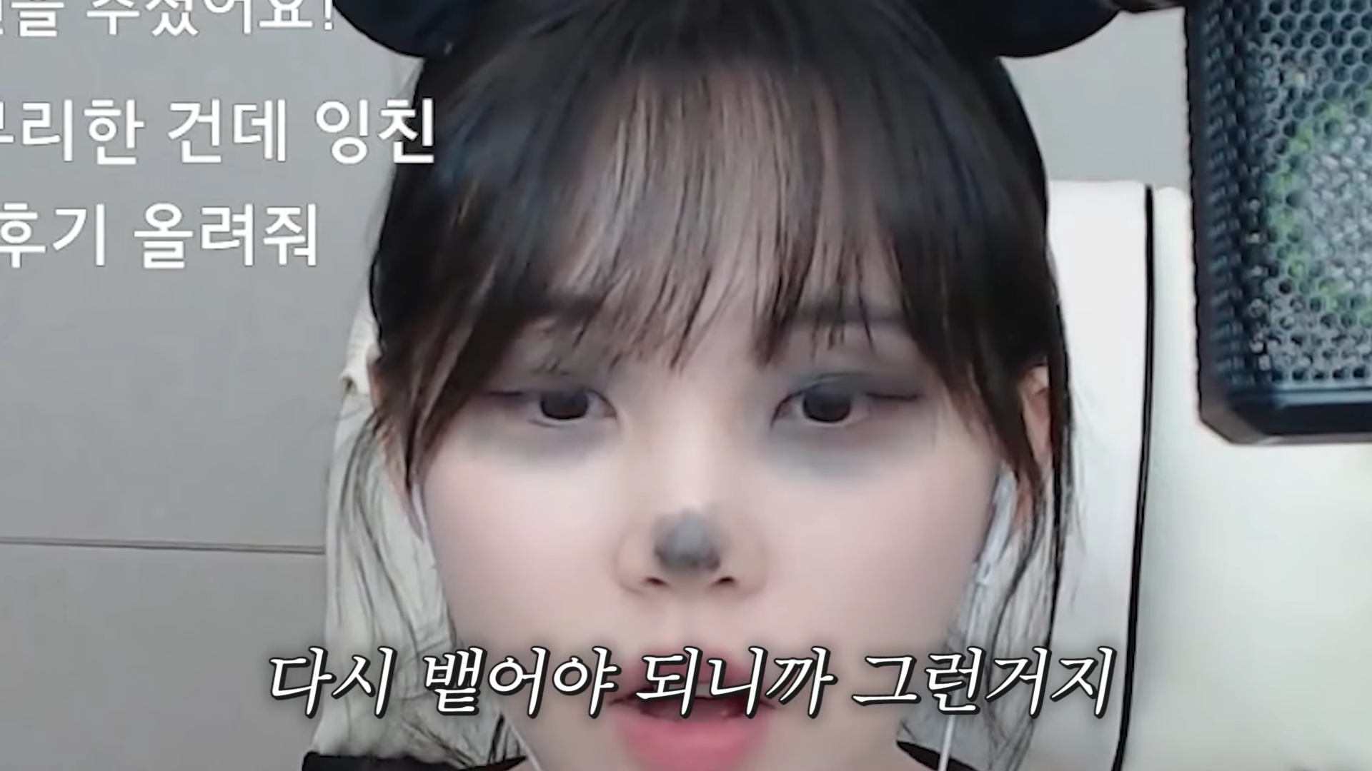 이젠 나무먹방까지 하는 우정잉 | 인스티즈