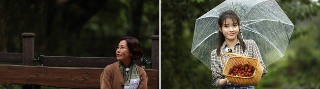 [이선희x아이유] 나무야나무 예고편 및 사진 | 인스티즈