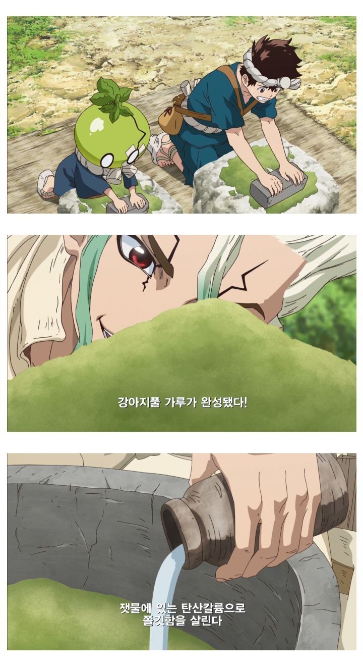 강아지풀로 라면 만들어 먹는 미.jpg | 인스티즈