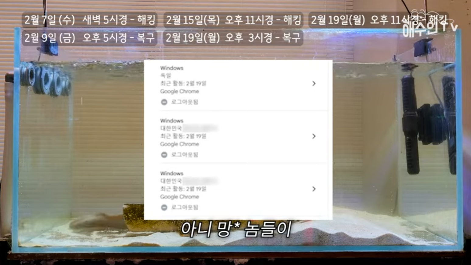 유튜브 계정이 3번이나 해킹 당한 이유 | 인스티즈