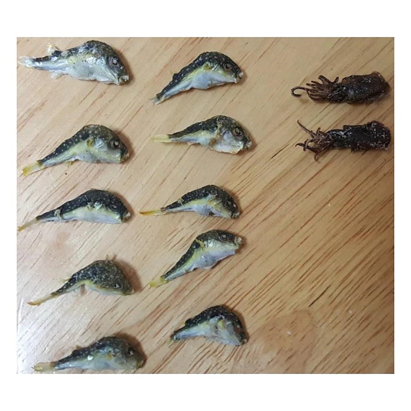 멸치박스 사면 나오는 것들 | 인스티즈