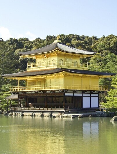 포켓몬스터 칠색조와 전설의 개들에 대해 알아보자 | 인스티즈