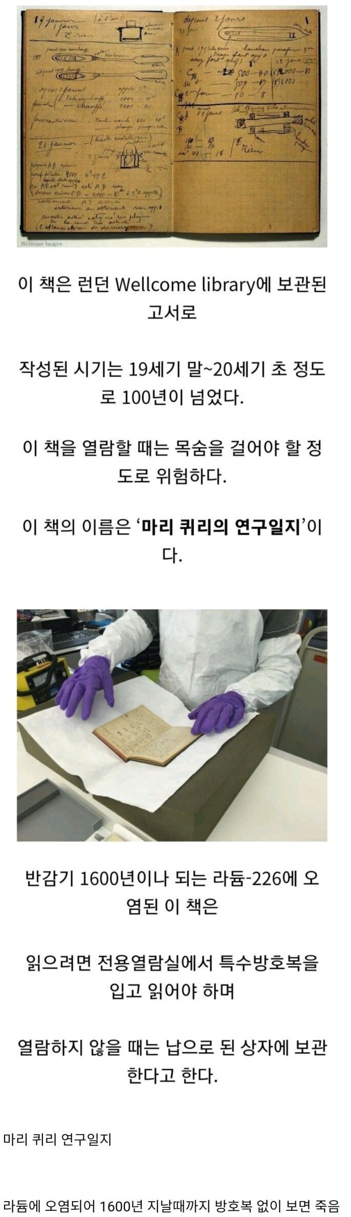 세상에서 가장 위험한 책 | 인스티즈