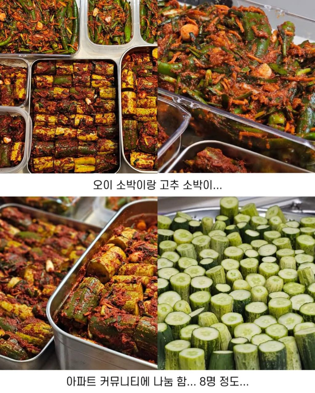 손이 엄청 큰 사람 | 인스티즈