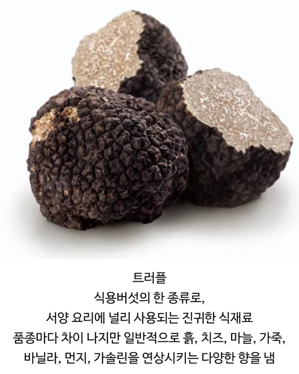 호불호 갈리는 식재료 | 인스티즈