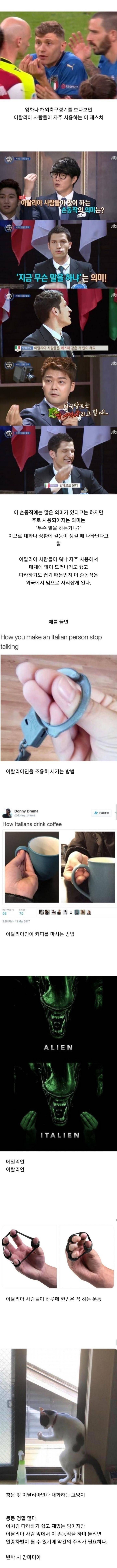 이탈리아 사람들 특유의 손동작.jpg | 인스티즈