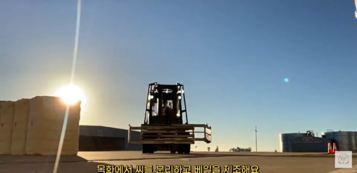 만 19살, 호주 워홀 가서 지게차로 월 500 번 유튜버 | 인스티즈