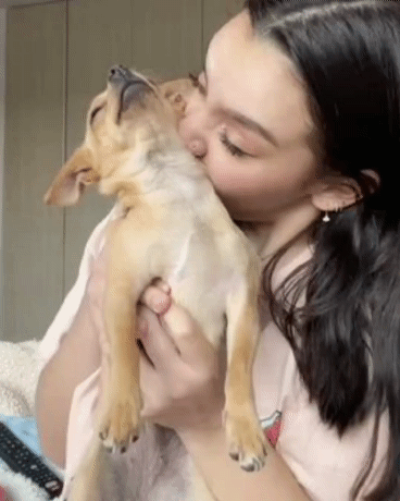 국가가 허락한 합법 마약.gif | 인스티즈