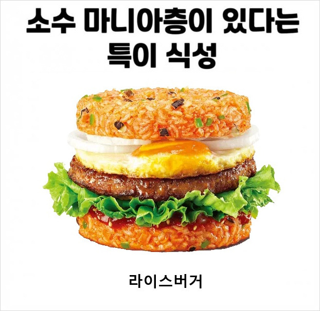 롯데리아전주 이미지