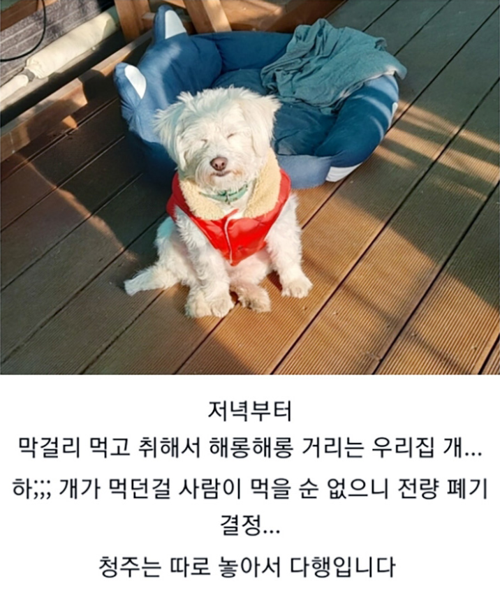 집에서 전통 방식으로 만드는 소주 결말 | 인스티즈