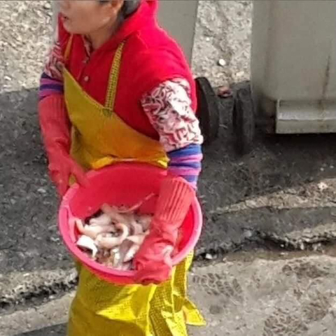 시사고발 프로그램에 포착된 어느 매운탕집 모습 | 인스티즈