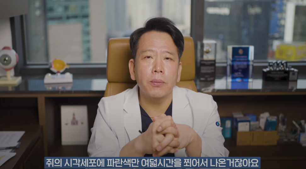 안과의사의 블루라이트 차단안경에 대한 생각 | 인스티즈