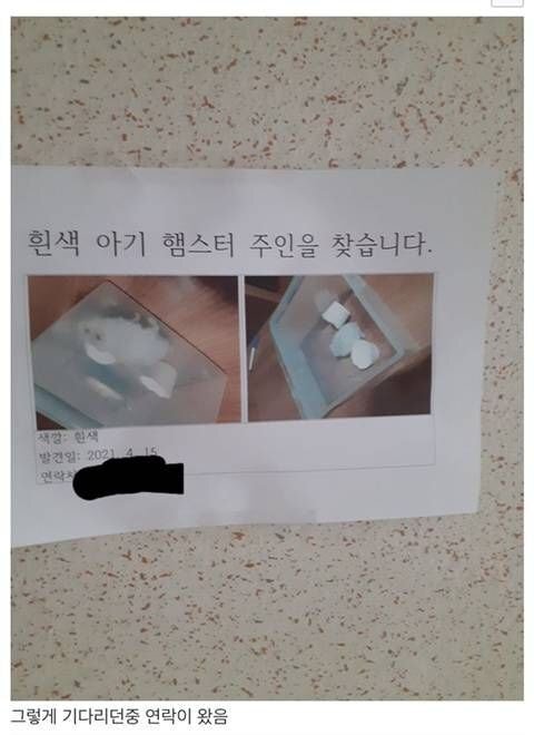 집에서 햄스터 나옴 | 인스티즈
