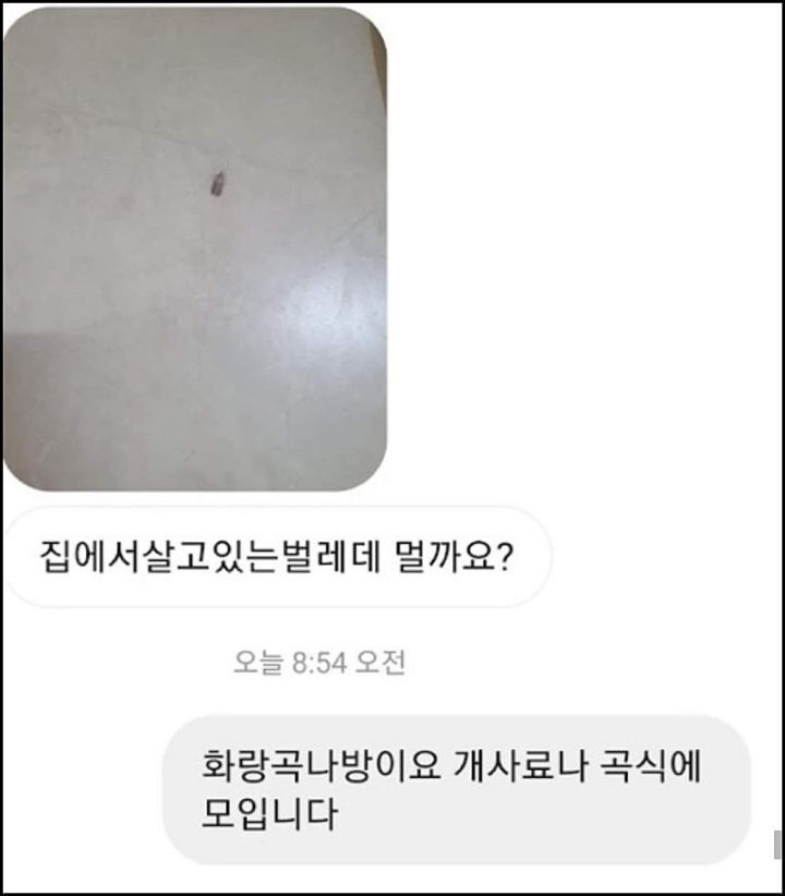 모르는게 없는 유튜버ㅋㅋㅋㅋㅋㅋ.jpg | 인스티즈