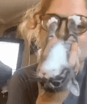 필사적으로 뽀뽀 거부하기 .gif | 인스티즈