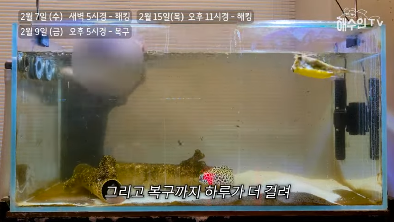 유튜브 계정이 3번이나 해킹 당한 이유 | 인스티즈