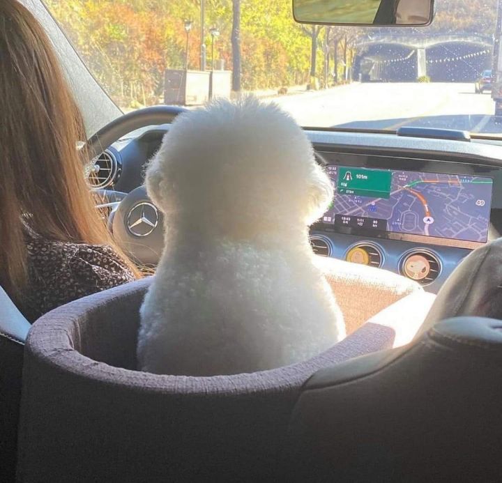 7f801e2f16381e59dac8cf51238cdb31a2020641