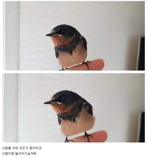 싱글벙글 새줍한 디씨인 | 인스티즈