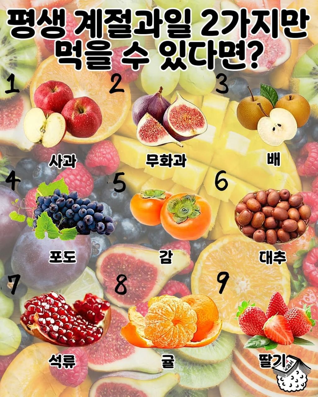 계절과일 2가지만 먹을 수 있다면? | 인스티즈