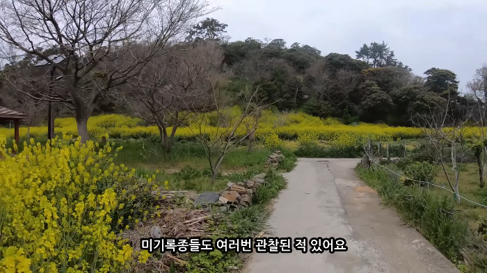 [사진100장스압] 고양이가 자연생태계에 끼치는 심각한 영향 | 인스티즈