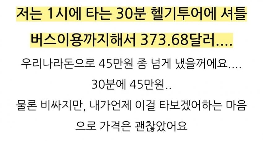 45만원 이라는 뉴욕 헬기 투어 .jpgif | 인스티즈