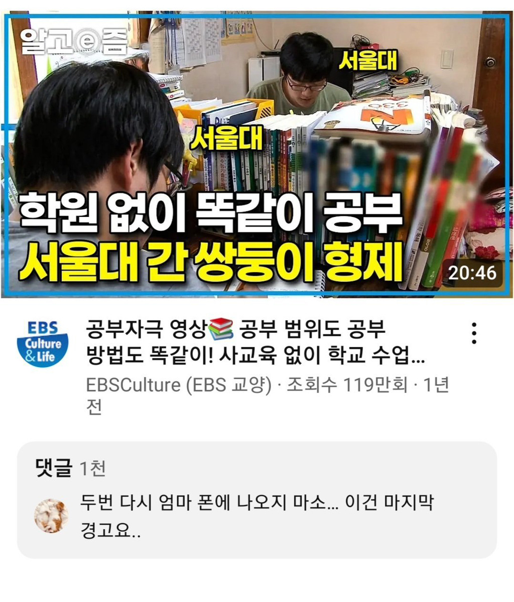 학원 없이 서울대 간 형제 유튜브 베댓 | 인스티즈