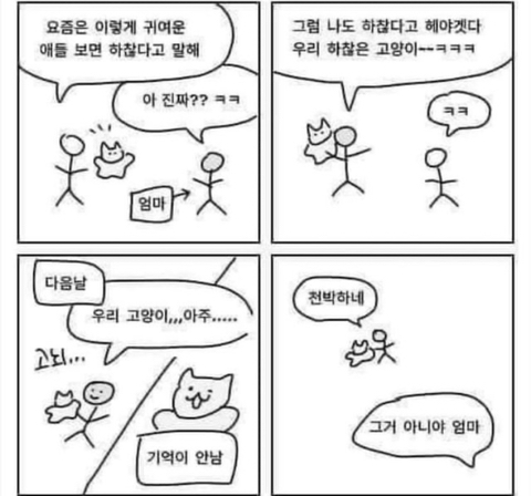 하찮은 고양이 | 인스티즈