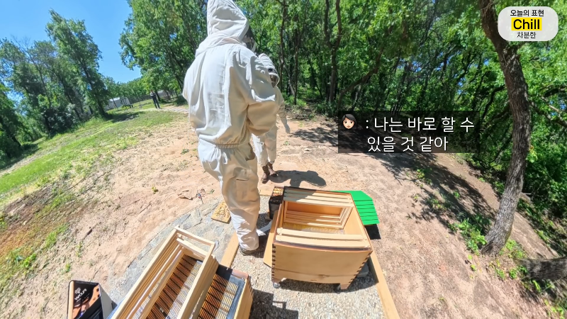 양봉 시작한 올리버쌤 근황.jpg | 인스티즈