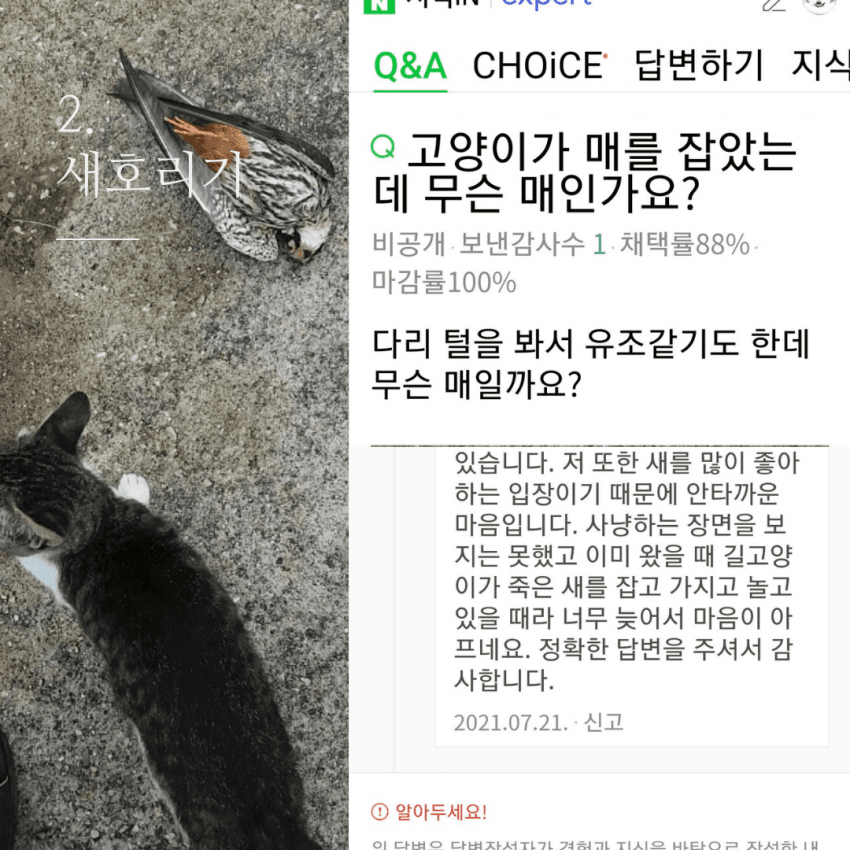 저는 장난감이 아니에요.jpg | 인스티즈