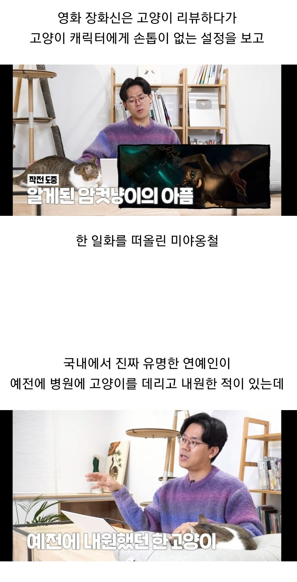 유명 연예인이 키우는 고양이 보고 충격먹었다는 수의사 유튜버 ....jpg | 인스티즈