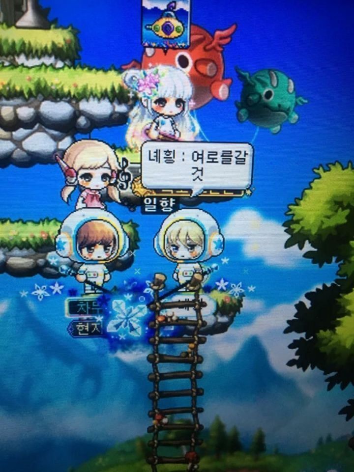 메이플 스토리의 해괴한 닉네임 문화 | 인스티즈