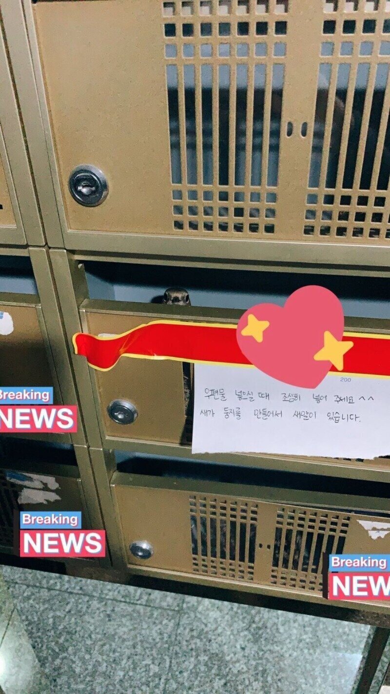 우편물 넣으실 때 조심히 넣어 주세요.JPG | 인스티즈