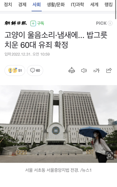고양이 울음소리·냄새에... 밥그릇 치운 60대 유죄 확정 | 인스티즈