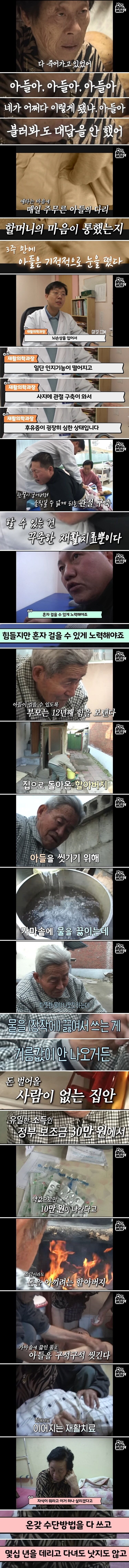 건장한 아들을 매일 휠체어에 태우고 어디론가 가는 부부 | 인스티즈