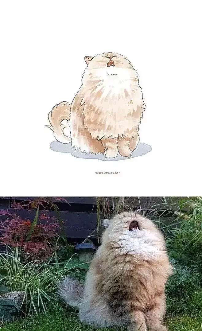 커여운 고양이 그림 | 인스티즈
